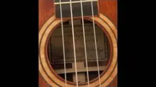Julie's Ukulele, a Custom Handmade Ukulele