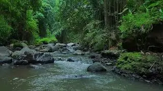 Purest Sounds of water &ndash; Amberglass Stream &mdash; clean audio, no birds.
