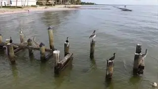 2019 Naples Florida - Gordon Pass