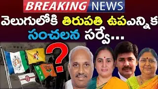 Big News: Tirupathi By Election Pre Poll SURVEY Report..? Chandrababu | Jagan | News220