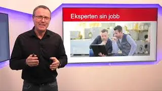 Ekspertbistand
