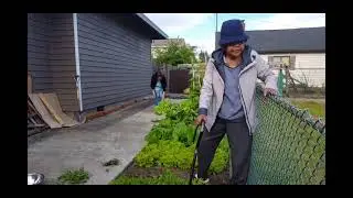 Khmer grandma vlog June 16th, 2020. Vegetable haul!