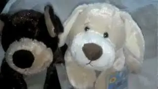 webkinz package and goodwill haul!