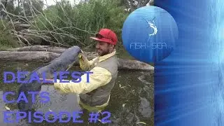 Catching Barbel On Artlure Using Calling & Casting | Deadliest Cats Episode 2