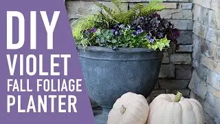 💜🍂 Violet Fall Foliage Planter || West Coast Gardens