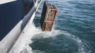 Western Rock Lobster Pot Pull