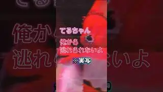 【実写】ばぁうくんの手錠使いがかっこよすぎてヤバい #ばぁうくん #手錠 #knighta #切り抜き