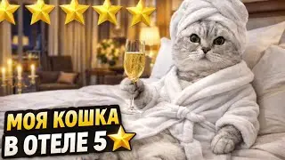 ЖИЗНЬ НАШЕЙ КОШКИ ALL INCLUSIVE