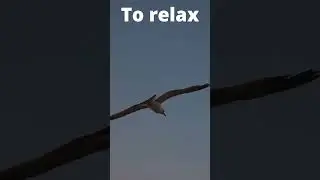 To relax  #shorts @SLEEPOFANGELS07  #naturerelax4k #relaxingmusicnaturesounds #travel #nature