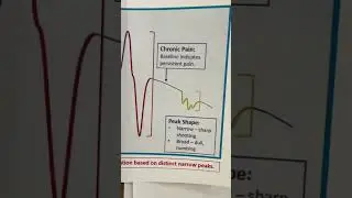 Cat Hip Dysplasia & Pain Test