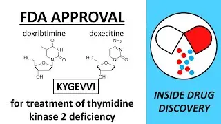KYGEVVI - FDA NDA approval - 2025-11-03