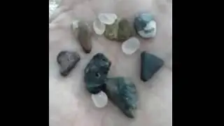 Sunset Beach, NJ fossil hunting