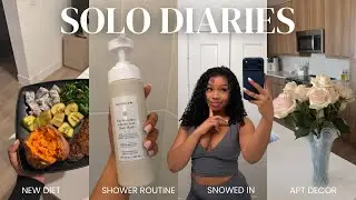 SOLO DIARIES: NAVIGATING A NEW CITY ALONE | snowed in, grocery haul, better habits, life update +etc
