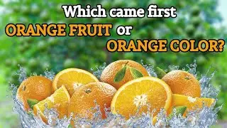 Which came first Orange Fruit or Orange Color | Uncharted Wonders