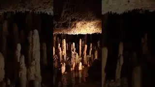 Harrison's Cave: A Natural Wonder of Barbados