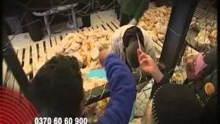 ITV Syria Crisis Appeal - Disasters Emergency Committee (DEC)
