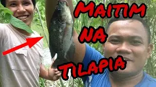 Nakahuli kami ng maitim na tilapia |Pamimingwit o Pamamasol sa Lake