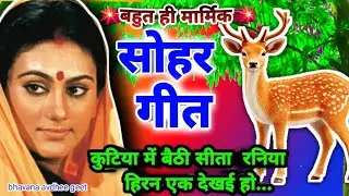 सोहर गीत #sohargeet ||कुटिया में बैठी सीता रनिया  हिरन एक देखई हो#bhojpurisohargeet#dehatisohargeet🥀