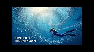 A Female Explorer Dives Into the Great Migration: Following the Ocean&rsquo;s Longest Journeys 🌊