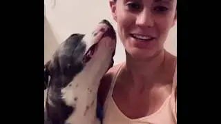 Why Fostering for TAP will be the best thing you do in 2020!