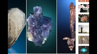 Three Unknown Minerals Discovered at Cookes Peak