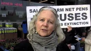 Farmed Salmon Protest