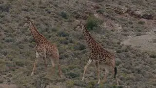 Program Chair's Corner - Sanbona