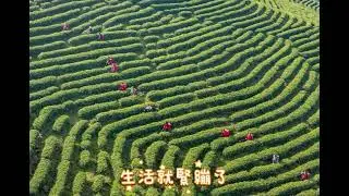 《最適合啟動「團購共營。消費致富」機制的是哪個族群？》 — 這是一個和收入「急迫性」有關的問題