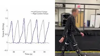Optimal Energy Shaping and Force Amplification for Task-Agnostic, Biomimetic Ankle Exoskeletons