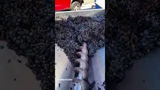 Wine crushing machine #shorts #powertools #mechanicalengineering