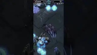 Duckdeok becomes the WCS champion in StarCraft 2