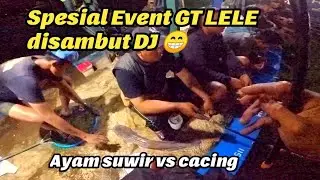 Bukan rijeki! Lele rame haup Babon janggut 🤣 lomba mancing Galatama lele