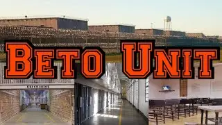 Взгляд на Beto 1 &mdash; подразделение &laquo;Гладиатор&raquo;