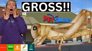 This Was Disgusting!! Shopping For Crickets & Worms at Pet Smart!