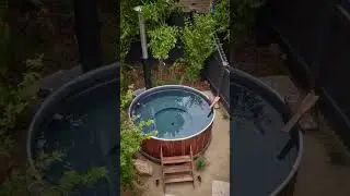 Dream Home Backyard Transformation