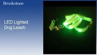 LED Lighted Dog Leash
