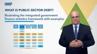 Illustrating the integrated government finance statistics framework with examples