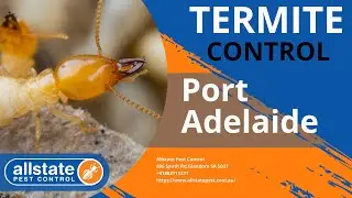 Termite Control Port Adelaide