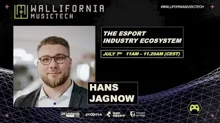 The esport industry ecosystem