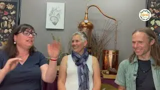 The 3 stages of the Histamine Haven Protocol