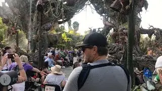 🎧 REQUIRED: Pandora-The World Of Avatar, Animal Kingdom Recorded in Immersive 3D Sound