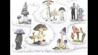 цветник .малые формы на даче. эскизы. идеи   мастерская Котлярова.