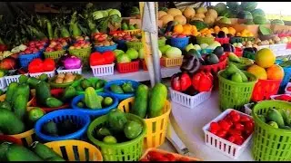 RV Activity: Farmer's Market