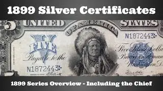 Серебряные сертификаты 1899 года — Обзор серии 1899 года — Включая «Вождь»