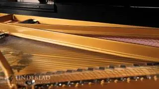 Lindeblad Piano - Restored Steinway 1919 Concert D