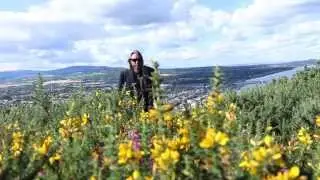gibb waking series bray head Cross
