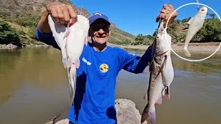 Pesca de bagre con carnada artificial 🎣