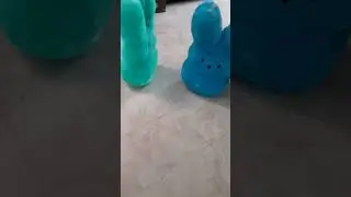 green fuzzy VS blue fuzzy