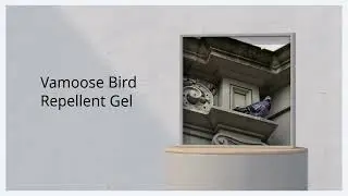 Bird Control in Food Safety