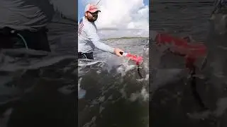 Big Fish on Louisiana Beach ALMOST Gets Away #fishing #louisiana #wadefishing